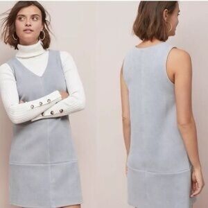 Anthropologie Elizabeth Crosby Princep Shift Dress